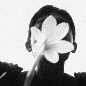 呐呐呐刀马刀马