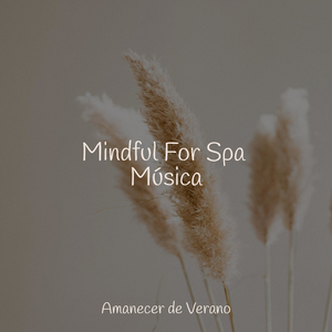 Ecos en Caída Libre