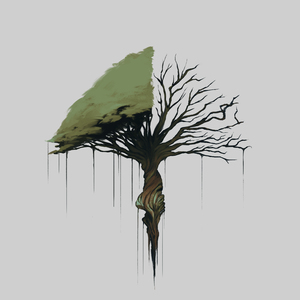 Expectativa Realidade