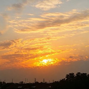 昀光No.1（Aureate Glow No.1）