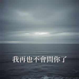 我再也不會問你了