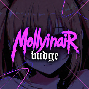 Budge