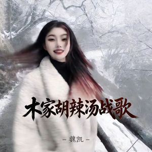 木家胡辣汤战歌