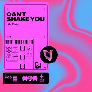 Can't Shake You (Extended Mix)
