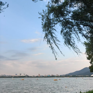 青春电波