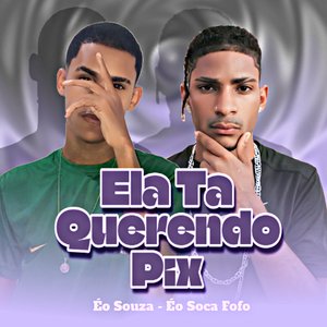 Ela Tá Querendo Pix