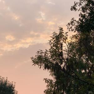 我觉得我还不错