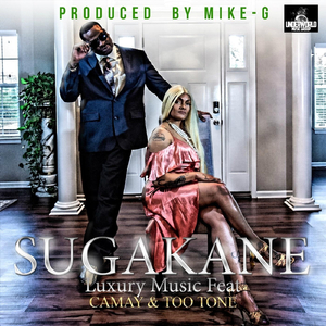 Luxury Music (feat. Camay & Too Tone)