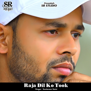 Raja Dil Ko Took