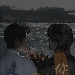 是你（博君一肖同人曲）cover：梁文音 《住在心里的过客》