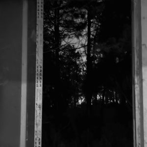 生活在幻想的世界