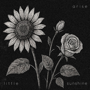 Arise Little Sunshine