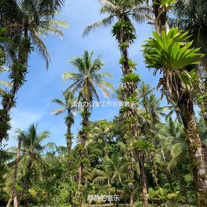 适合在家里工作了解音乐