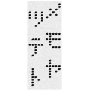 Variations on numerical principles-Moroi