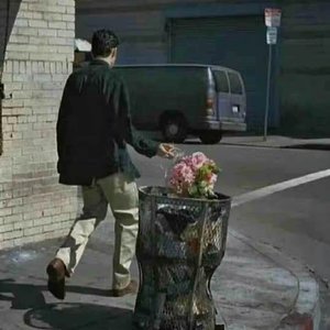 你像温柔雾让我迷路