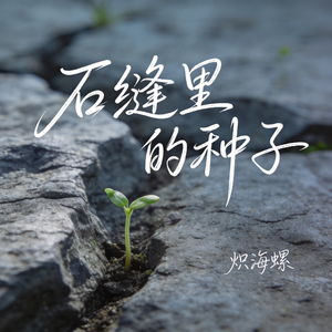 石缝里的种子
