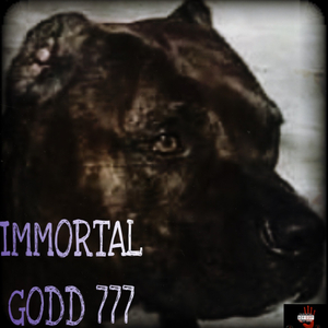 Vony-Go x 1000percent100 IMMORTAL GODD 777