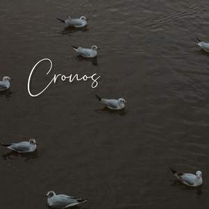 Detiene