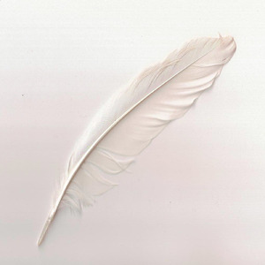 voice2 (2026 Remaster)