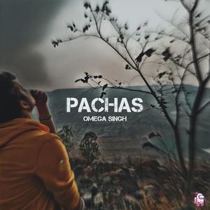 Pachas