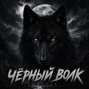 Ночной волк