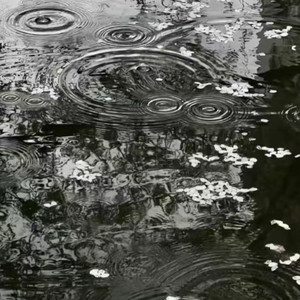 一身傲骨不低头 阿斌斌