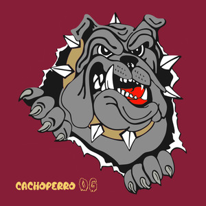 CACHOPERRO OG
