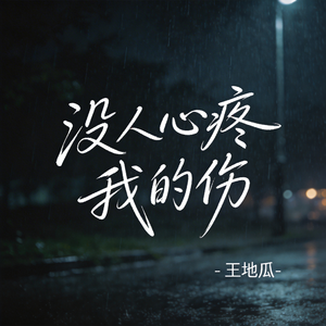 没人心疼我的伤（R&B版）