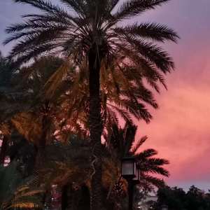 乔安娜草稿（prod.Furyl)