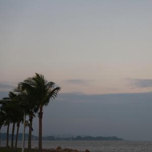 看书轻音乐：悲伤那段故事 (钢琴)