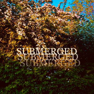 Submerged