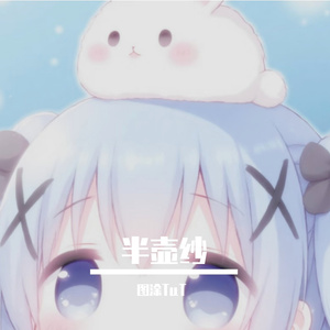 半壶纱