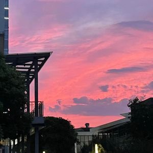 zrhythm freestyle(demo)