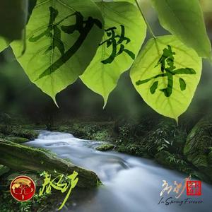 平行玫瑰4