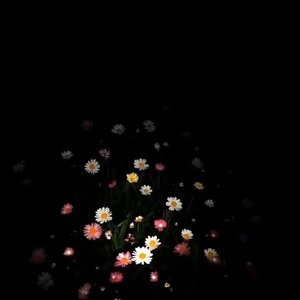 幸福与痛苦的痕迹