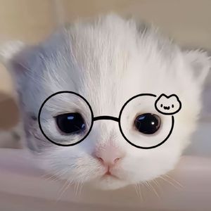 在每一个雨季醒来