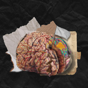 Всё для Людей