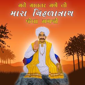 મને માવતર મળે તો વિહળાનાથ જેવા મળજો | PALIYAD NA PIR | BIRJU BAROT