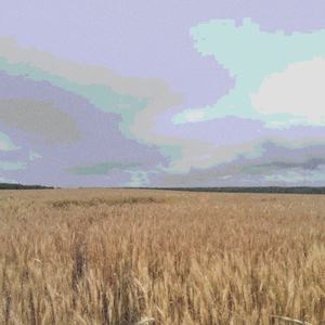 Злачное место