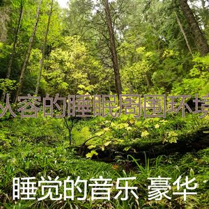 柔和的做梦时刻