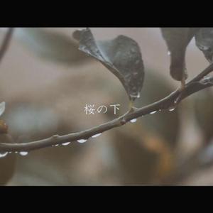 悲しみが足りない（翻自 初音ミク）