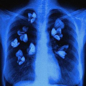 Feel Loved (feat. R3DQX)