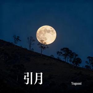 引月 (Cover LUMi)