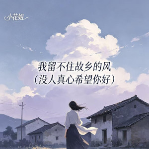 我留不住故乡的风（没人真心希望你好）