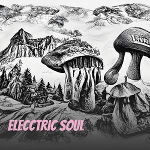 Elecctric Soul