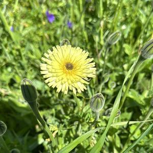 Hey (shock me and drift away).