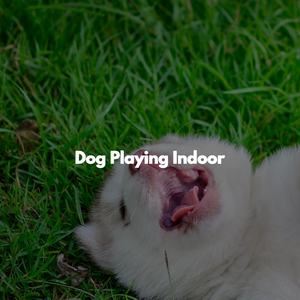 Playful (Music)