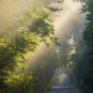 命运指尖揉捻光阴