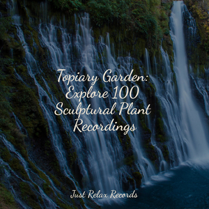 Mossy Memories Mingle