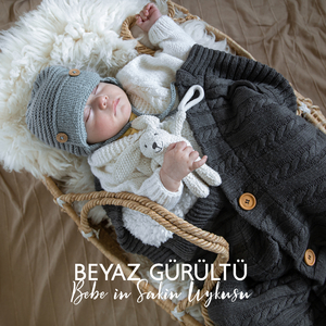 Hassas Müzik Kutusu